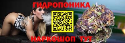 СК Донецк