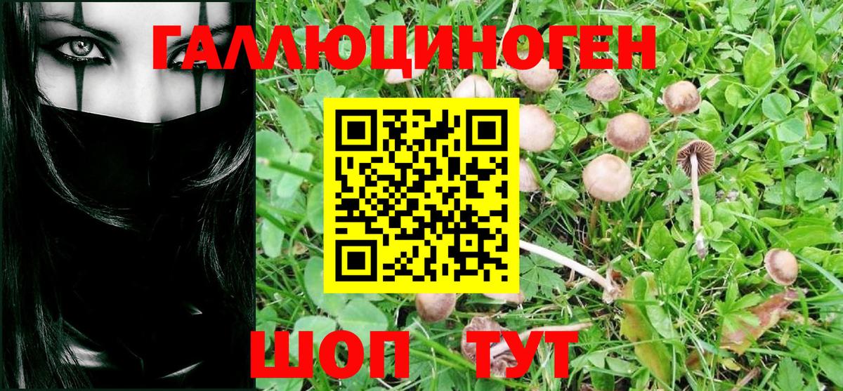 Мурманск  Галлюциногенные грибы Psilocybe  Вход с VPN 