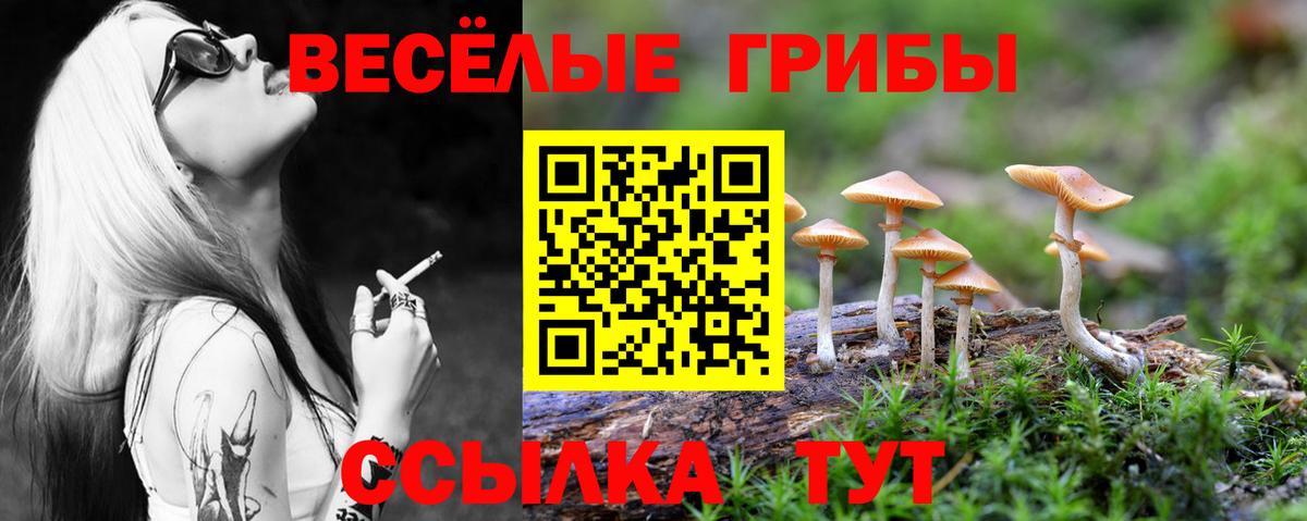 Мурманск  A PVP СК   ГАШ  Вход с VPN  Кокаин  МДМА  Конопля  МЕФ кристаллы  Наркошоп 
